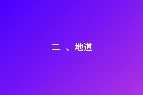 二、地道